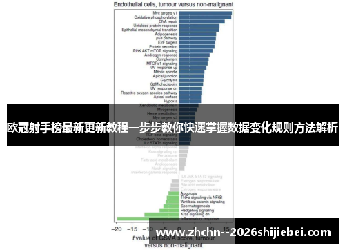 欧冠射手榜最新更新教程一步步教你快速掌握数据变化规则方法解析