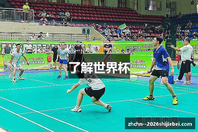 了解世界杯